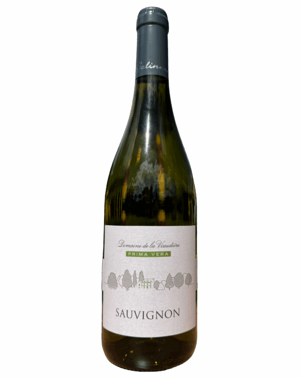 Sauvignon
